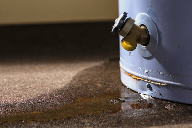 Best Carpet water damage restoration  in Pilot Mountain, NC