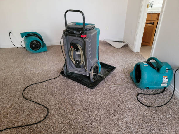 Best Basement water damage restoration  in Pilot Mountain, NC