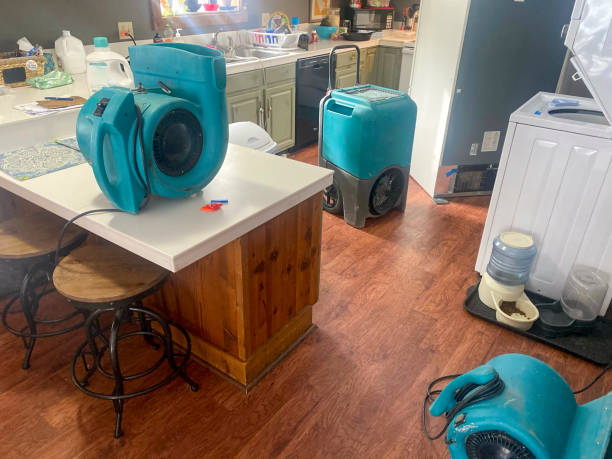 Best Basement water damage restoration  in Pilot Mountain, NC