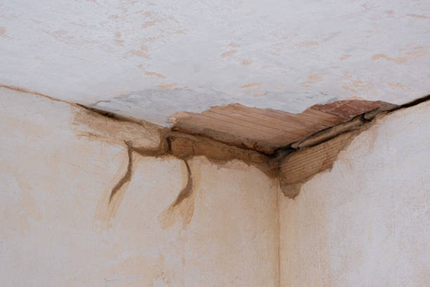 Best Basement water damage restoration  in Pilot Mountain, NC