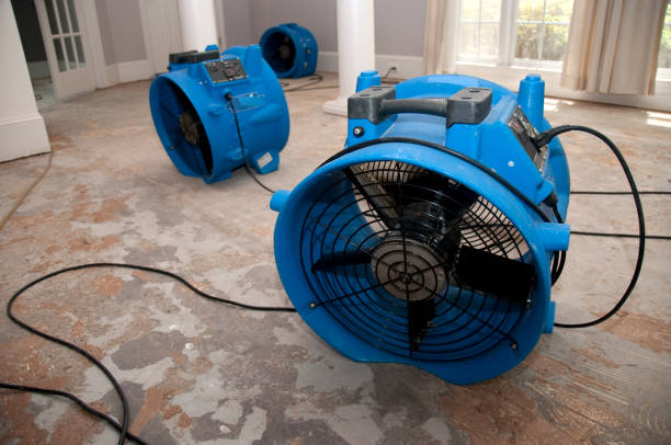 Best Water damage restoration near me  in Pilot Mountain, NC