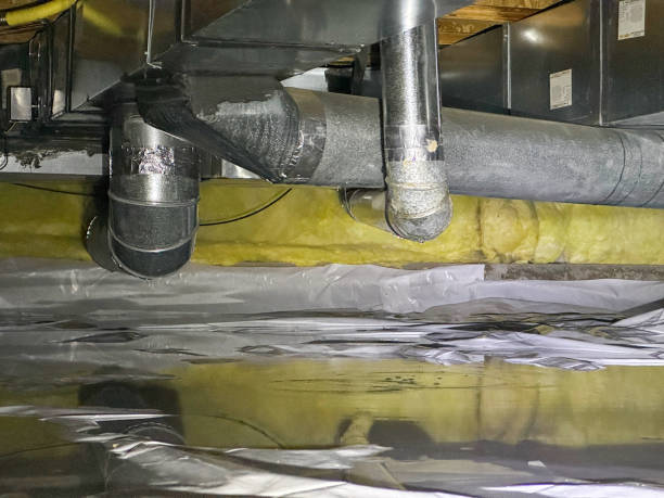 Best Flood damage cleanup  in Pilot Mountain, NC