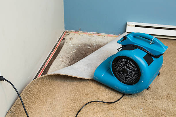 Best Sewage cleanup and water damage restoration  in Pilot Mountain, NC